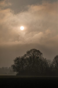 Sonne hinter Wolken über einem Waldstück. Sonne hinter Wolken über einem Waldstück.